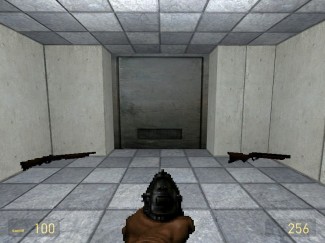 Pistolet de Doom sous Gmod - Half Life 2